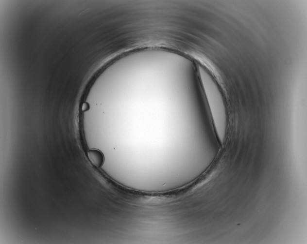 X0000088130894200706111405