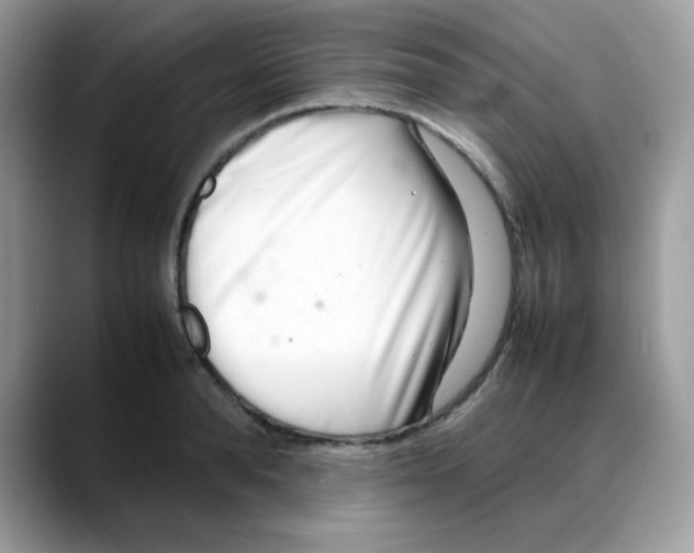 X0000088130896200706111405