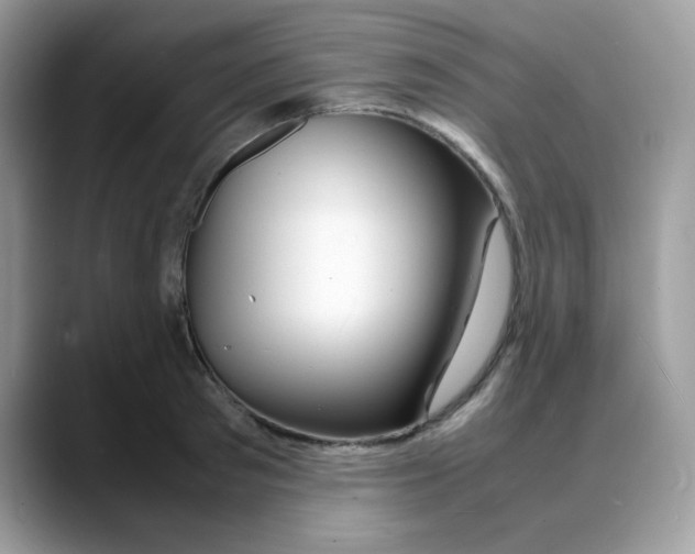 X0000088130897200706111405