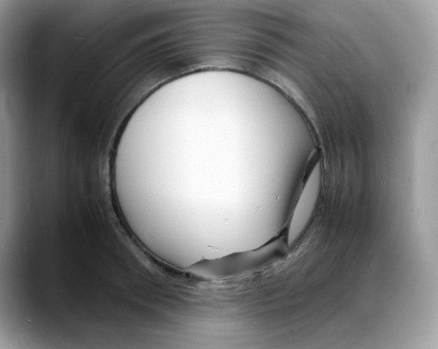 X0000088130898200706111405