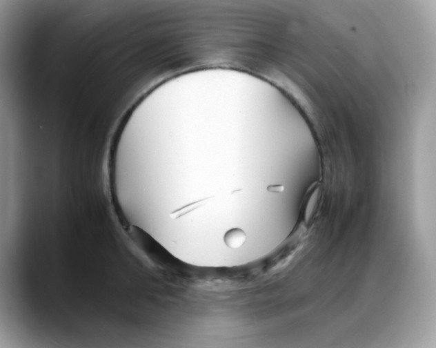 X0000088130902200706111405