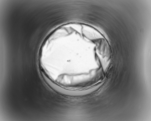 X0000088130903200706111405