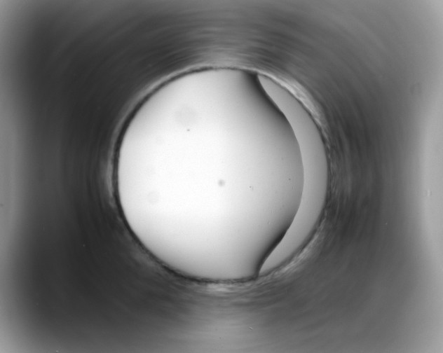 X0000088130904200706111405