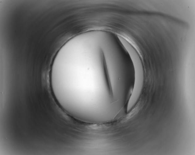 X0000088130906200706111405