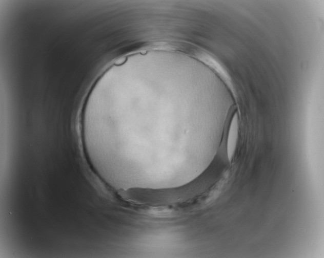 X0000088130907200706111405