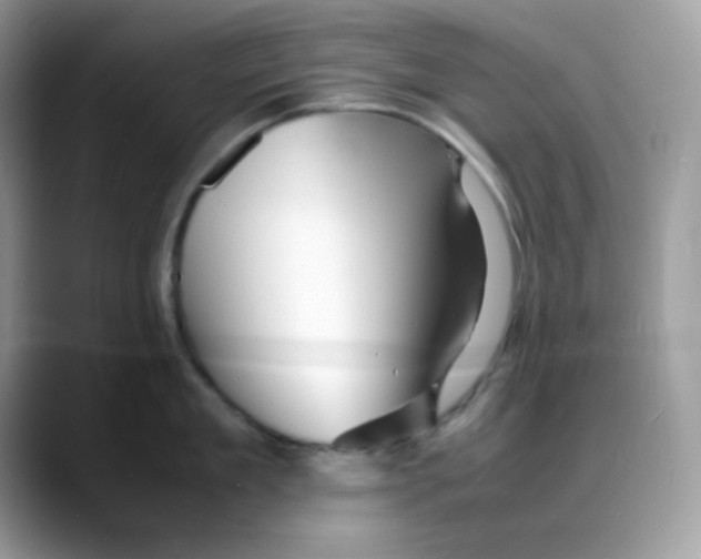 X0000088130909200706111405