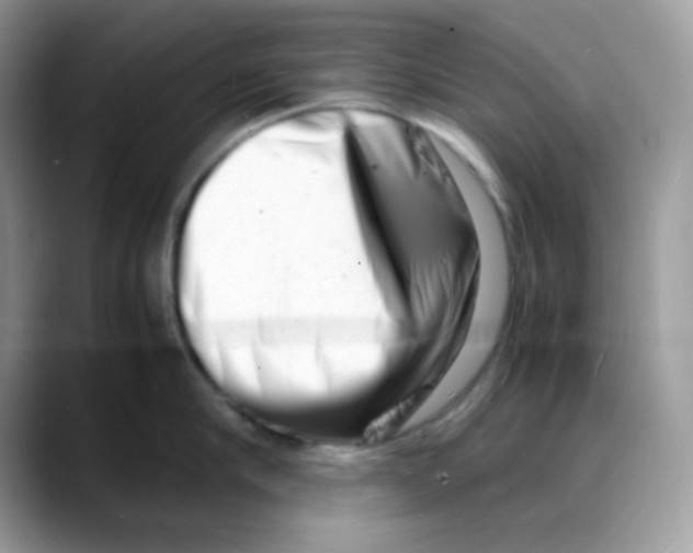 X0000088130910200706111405