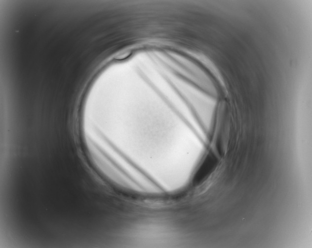 X0000088130911200706111405