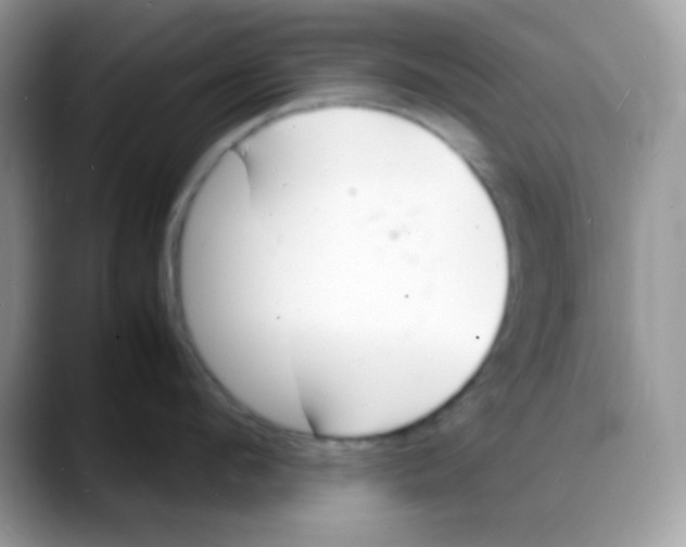 X0000088130912200706111405