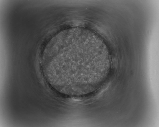 X0000088130913200706111404