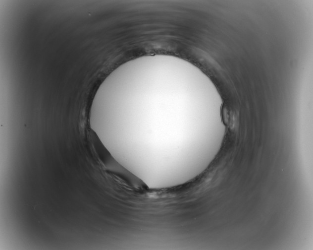 X0000088130915200706111404