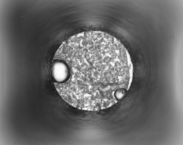 X0000088130918200706111404