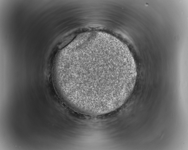 X0000088130920200706111404