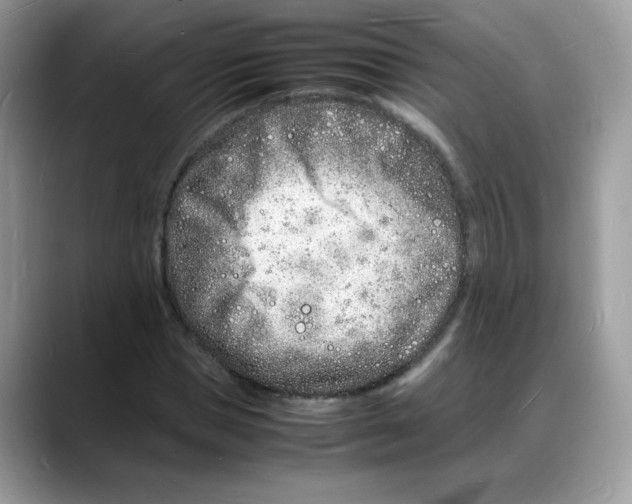 X0000088130921200706111404