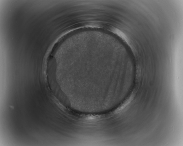 X0000088130923200706111404