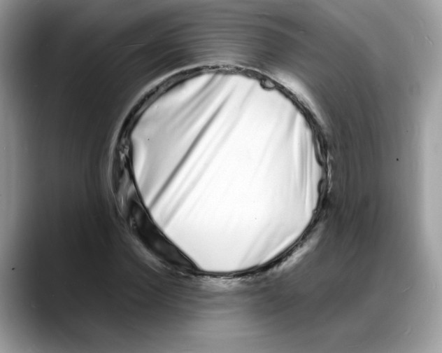 X0000088130924200706111404