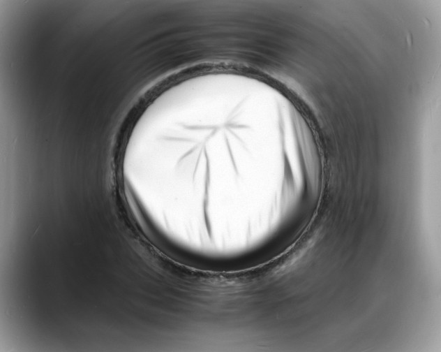 X0000088130927200706111404