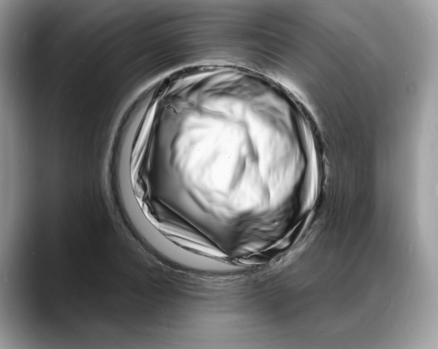 X0000088130928200706111405