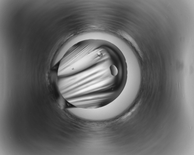 X0000088130930200706111405