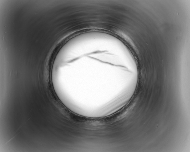 X0000088130931200706111405