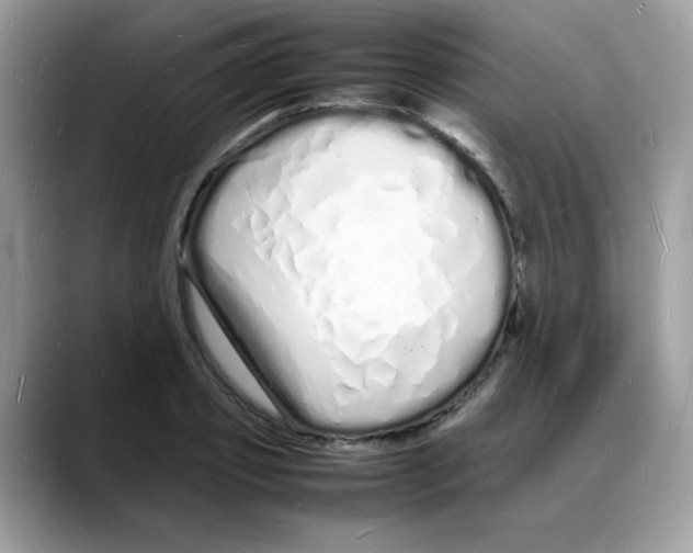 X0000088130933200706111405