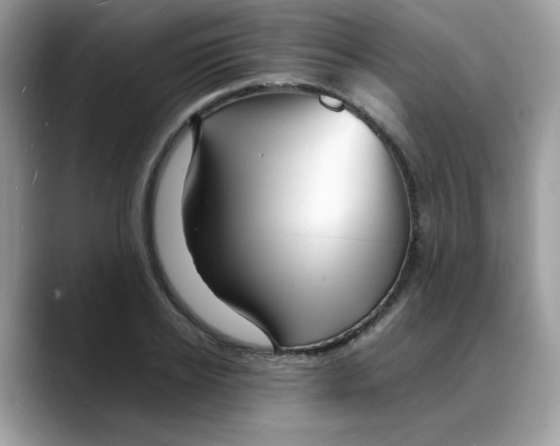 X0000088130934200706111405