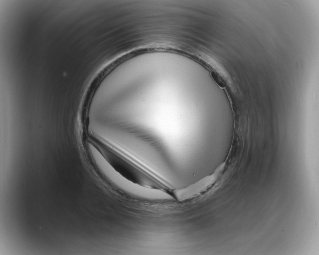 X0000088130936200706111405