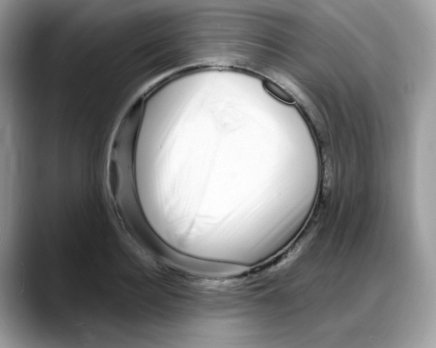 X0000088130940200706111405