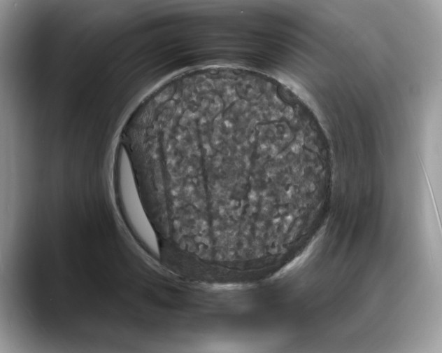 X0000088130941200706111405