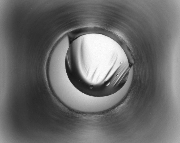 X0000088130942200706111405