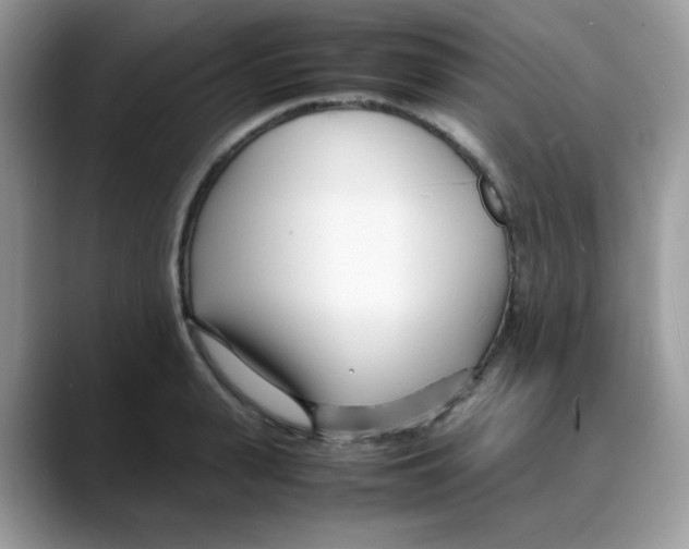 X0000088130943200706111405