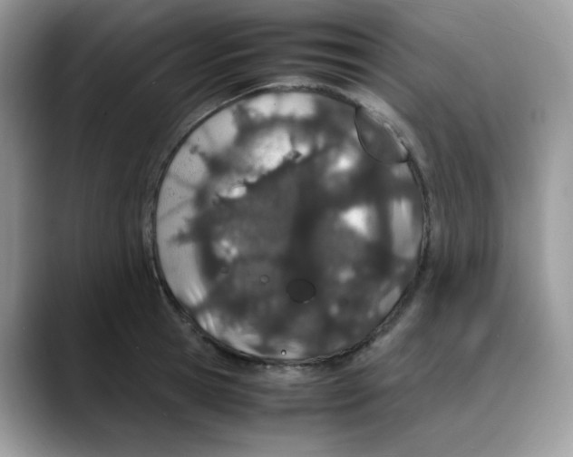 X0000088130945200706111405