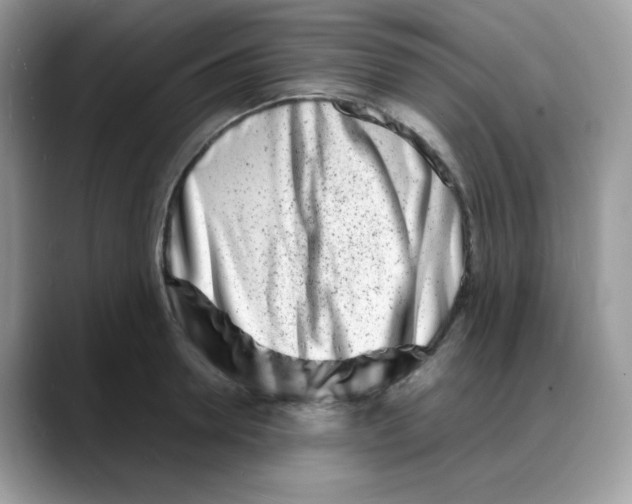 X0000088130946200706111405