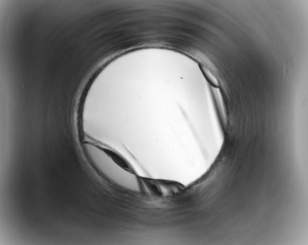 X0000088130947200706111405