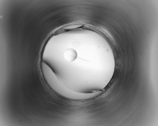 X0000088130948200706111405