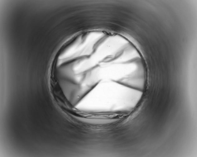 X0000088130949200706111405