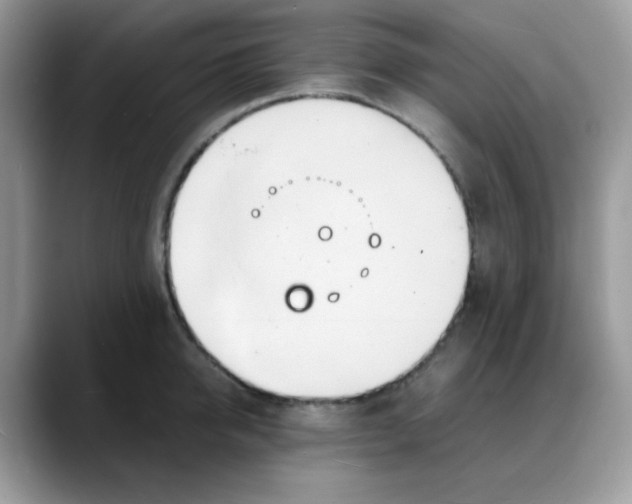 X0000088130950200706111405