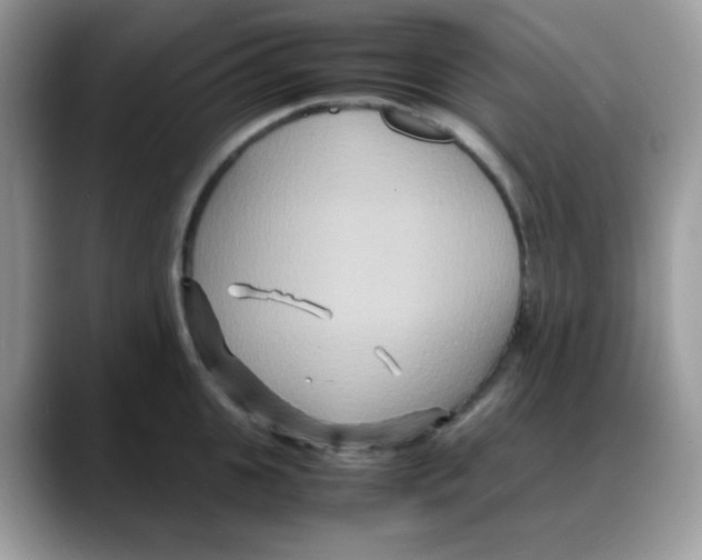 X0000088130951200706111405