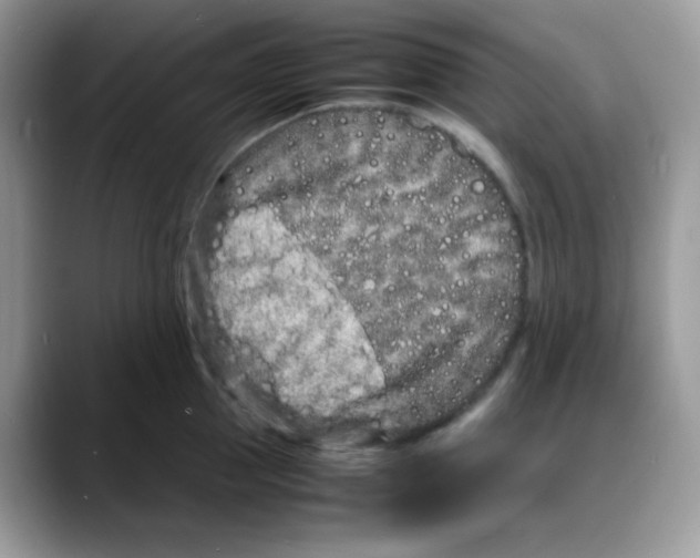 X0000088130953200706111405