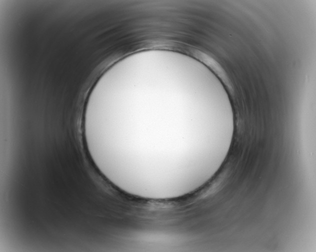 X0000088130954200706111405