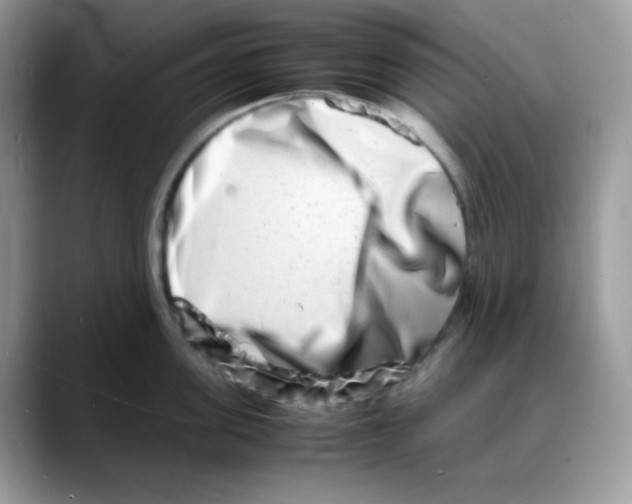 X0000088130955200706111405