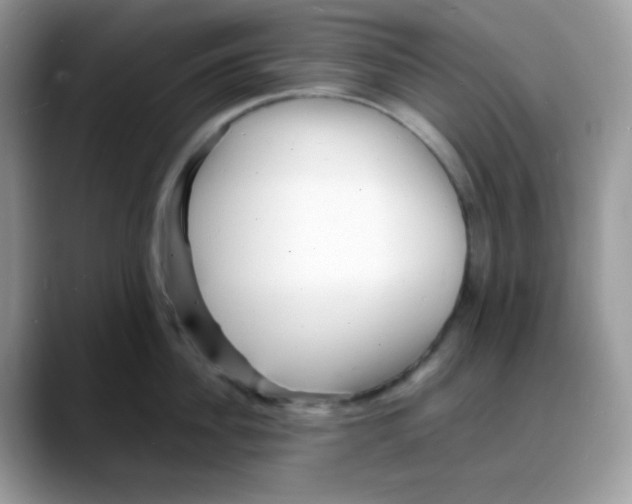 X0000088130956200706111405