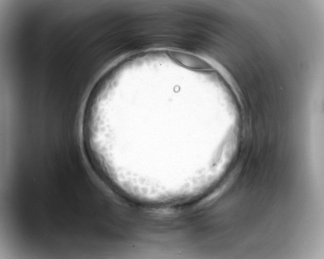 X0000088130957200706111405