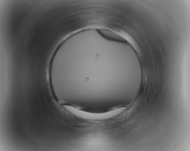 X0000088130958200706111405