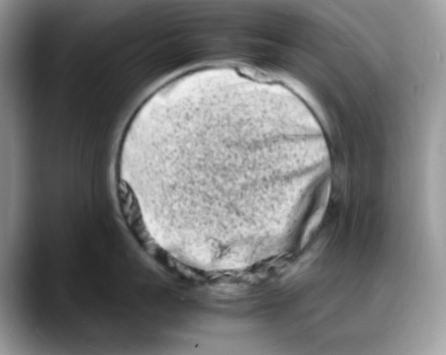 X0000088130959200706111405