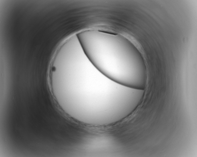 X0000088130960200706111405