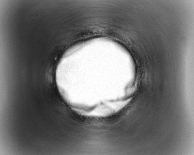 X0000088130962200706111404