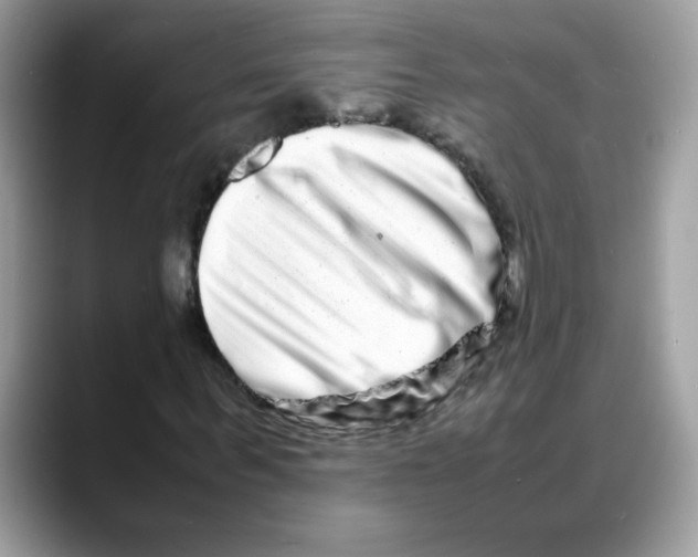 X0000088130963200706111404