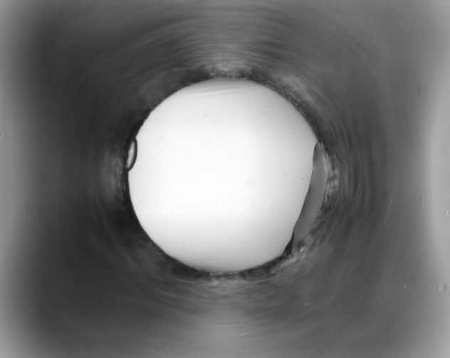 X0000088130964200706111404