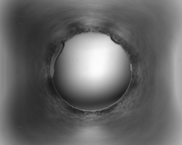 X0000088130965200706111404